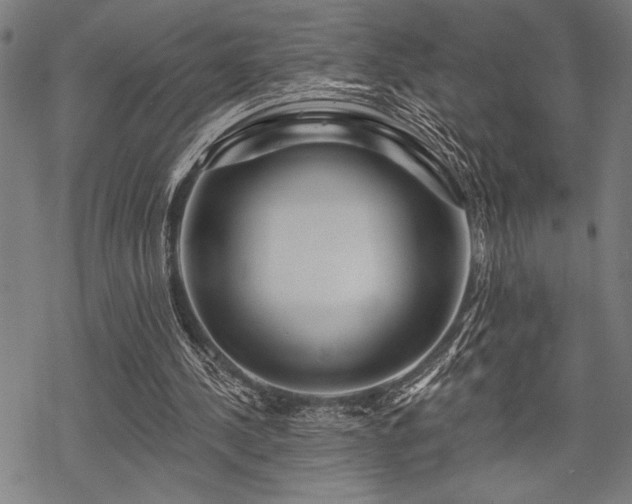 X0000069790244200605221121