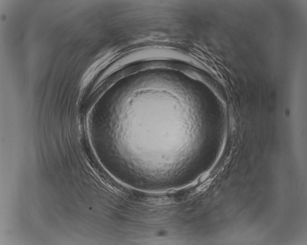 X0000069790245200605221121