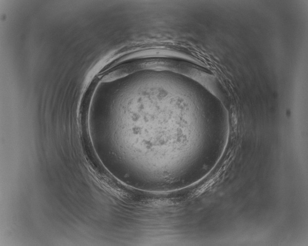 X0000069790246200605221121