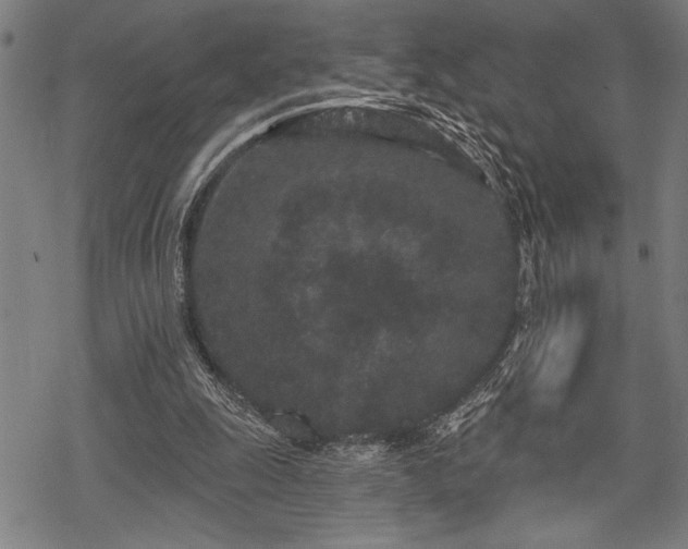 X0000069790247200605221121