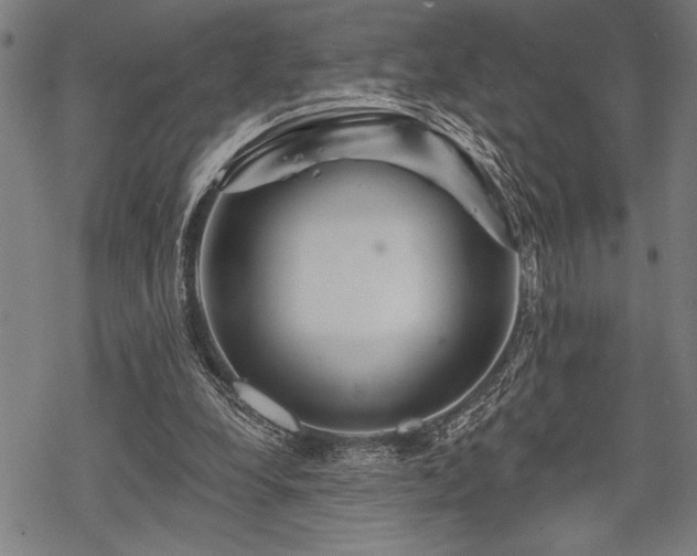 X0000069790248200605221121