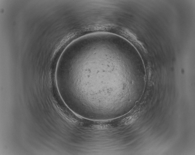 X0000069790250200605221121