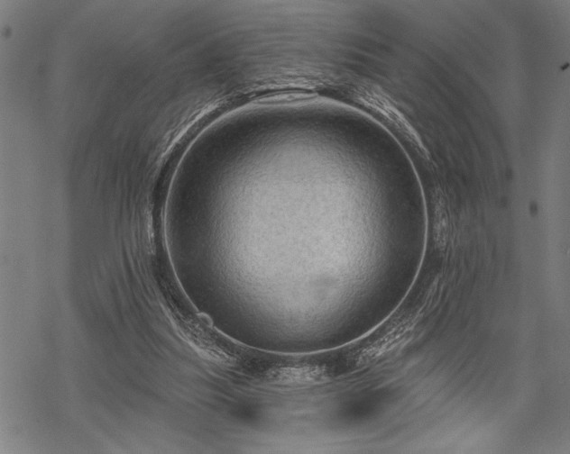 X0000069790251200605221122