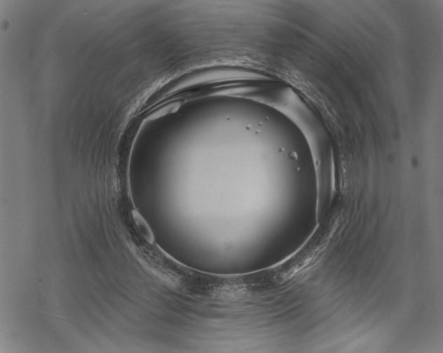 X0000069790252200605221122