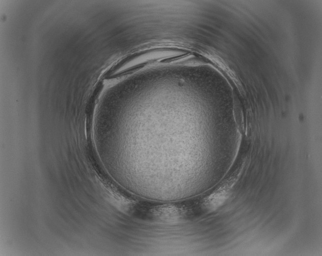 X0000069790253200605221122