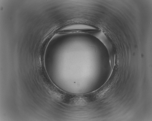 X0000069790254200605221122