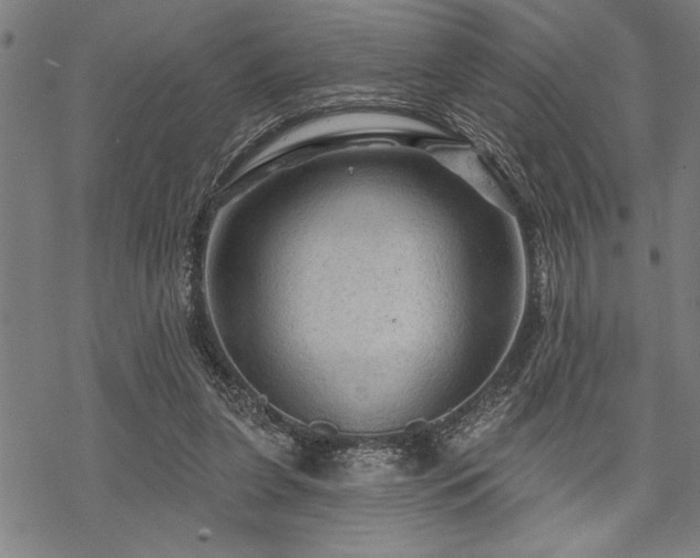 X0000069790255200605221122