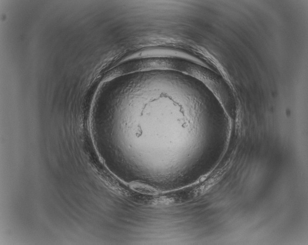 X0000069790257200605221122