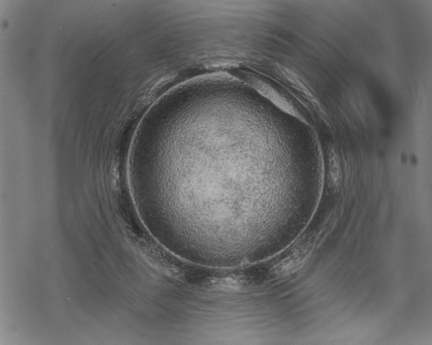 X0000069790259200605221122