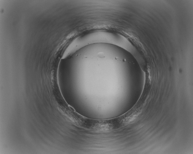 X0000069790260200605221122