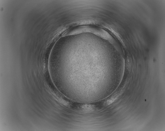 X0000069790261200605221122