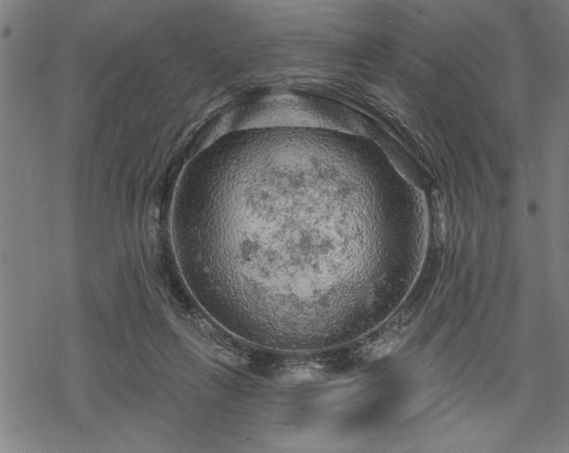 X0000069790263200605221122