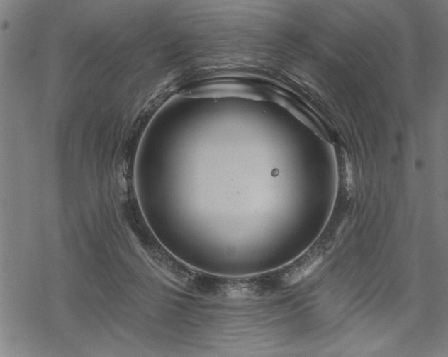 X0000069790264200605221122