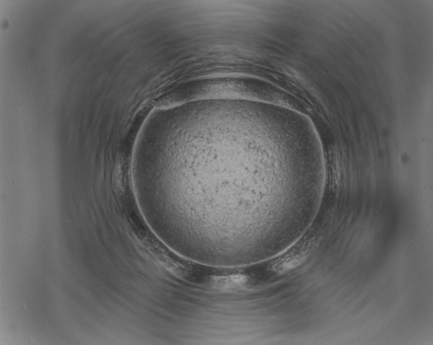 X0000069790266200605221122