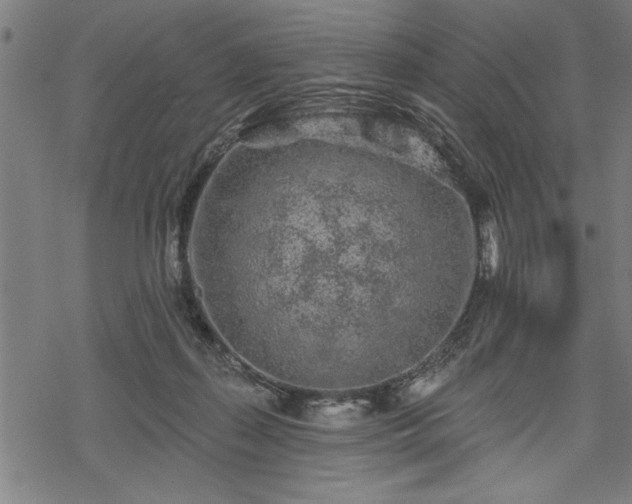 X0000069790267200605221122