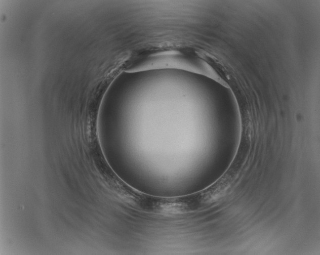 X0000069790268200605221122