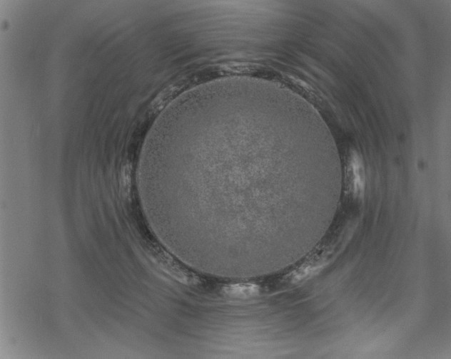 X0000069790271200605221122