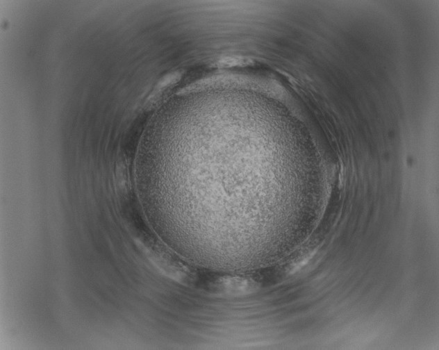 X0000069790272200605221122