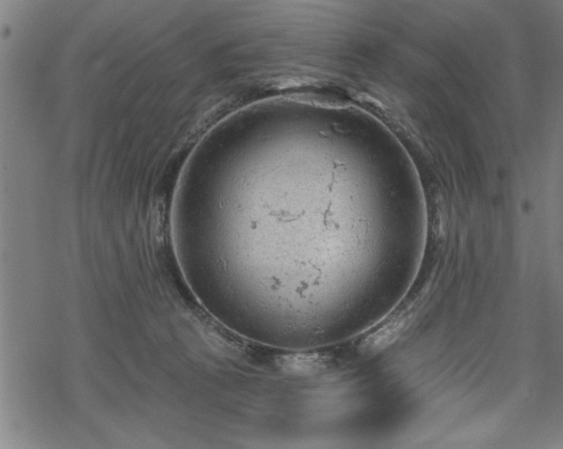 X0000069790273200605221122