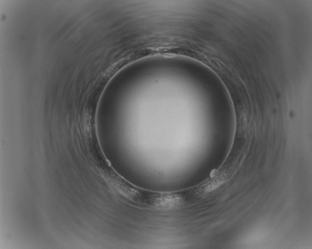 X0000069790274200605221122