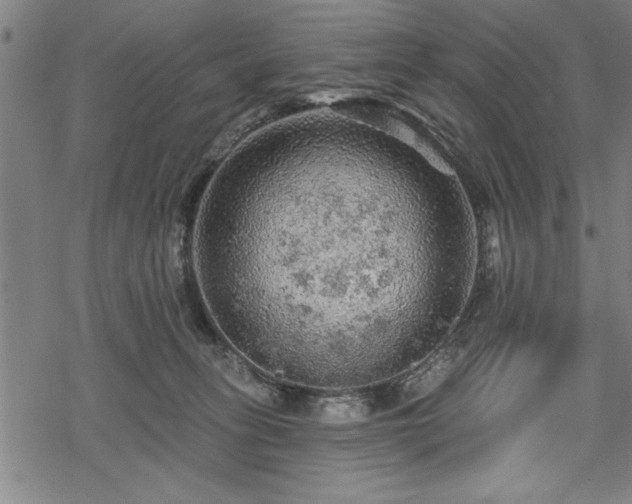 X0000069790275200605221122