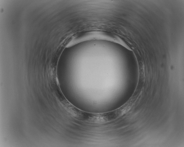 X0000069790276200605221122