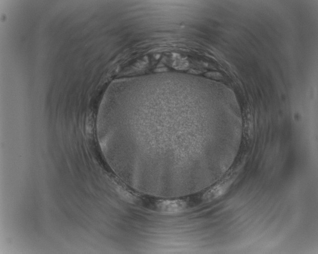 X0000069790277200605221122