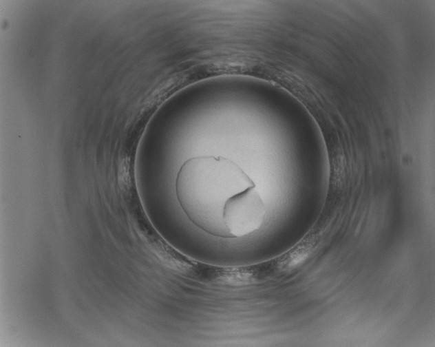 X0000069790278200605221122