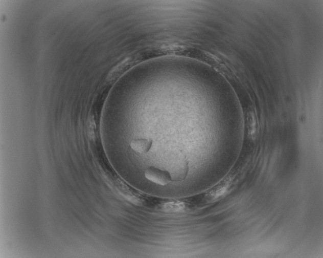 X0000069790279200605221122