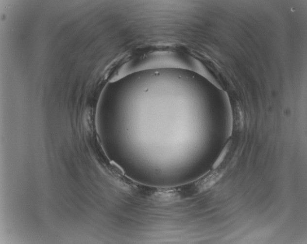 X0000069790280200605221122