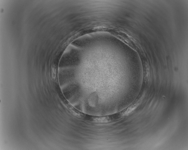 X0000069790281200605221122