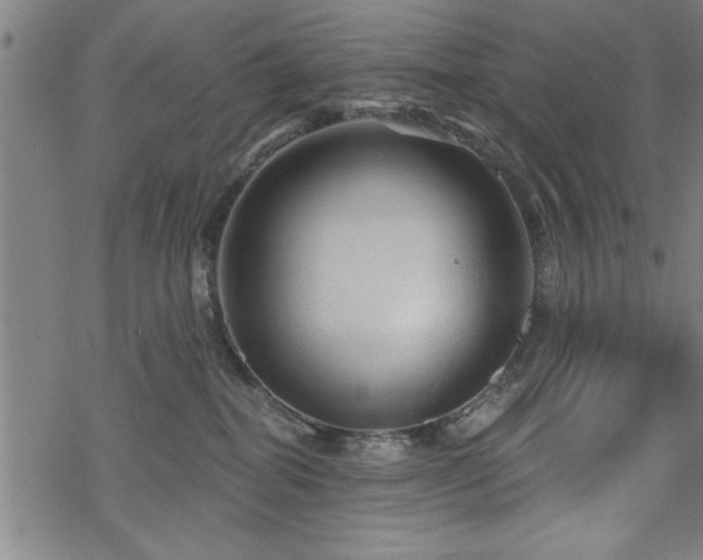 X0000069790282200605221122