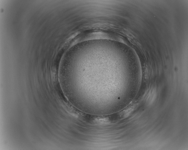 X0000069790283200605221122