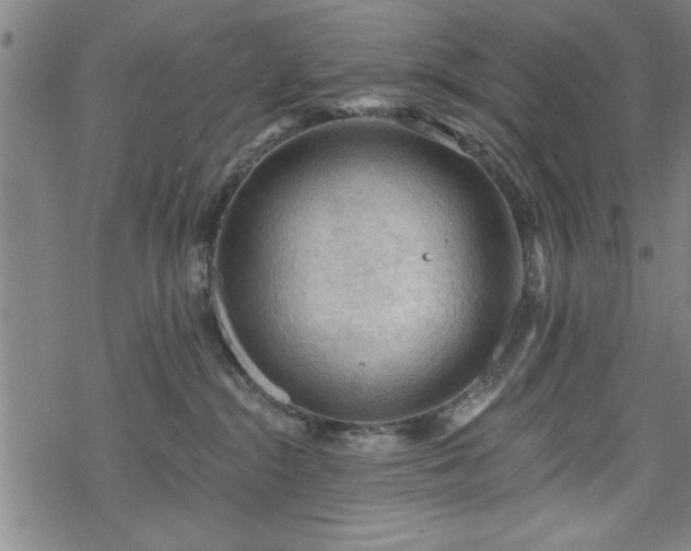 X0000069790284200605221122