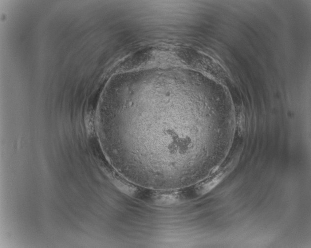 X0000069790285200605221122