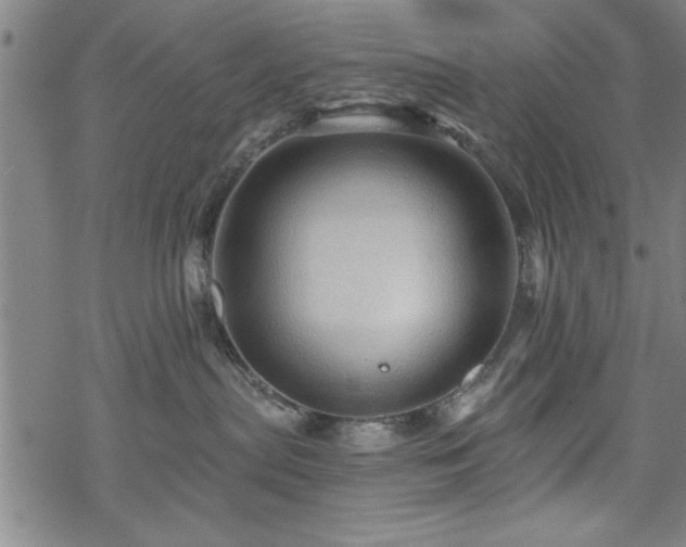 X0000069790287200605221122