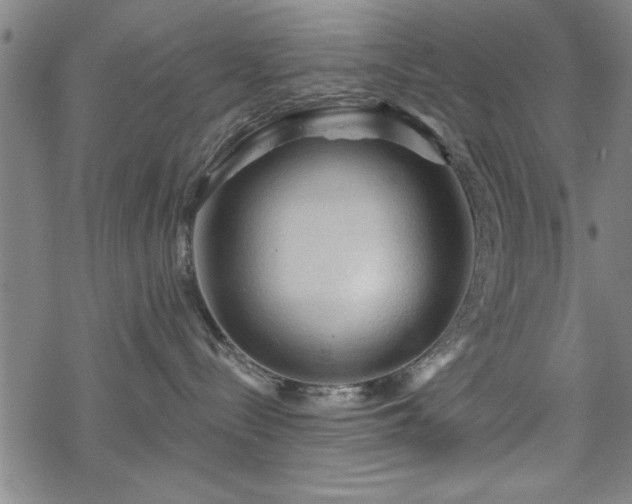 X0000069790288200605221122