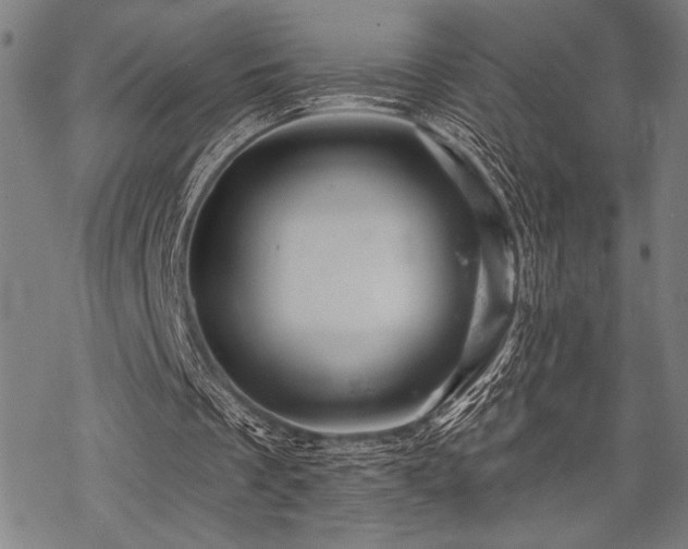 X0000069790289200605221121