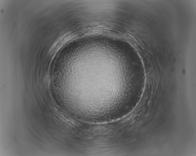 X0000069790290200605221121