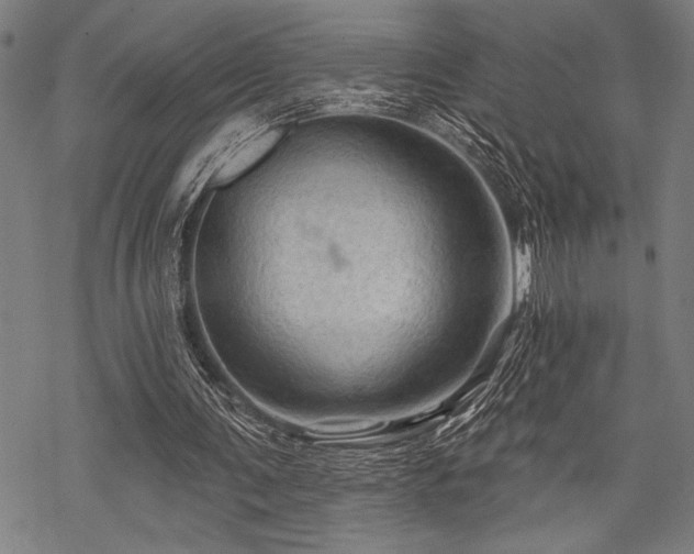 X0000069790291200605221121