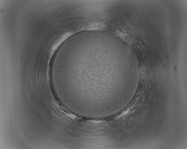 X0000069790292200605221121