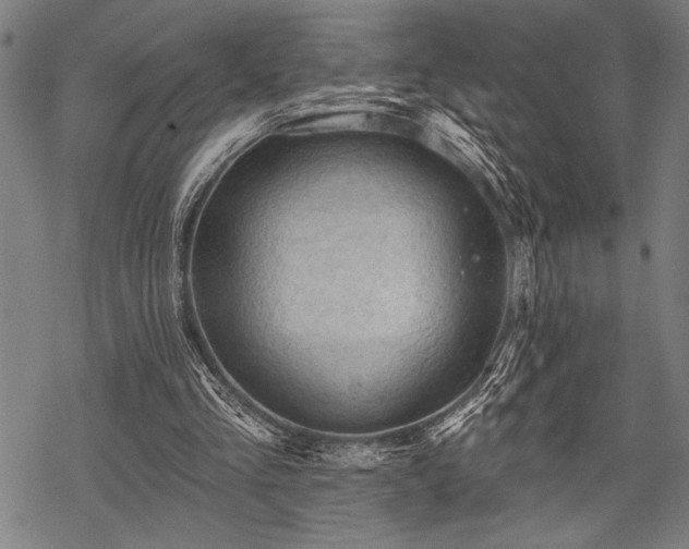 X0000069790293200605221121