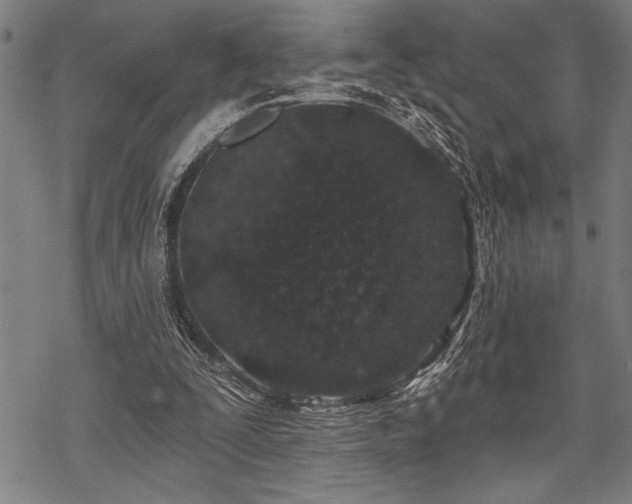 X0000069790295200605221121