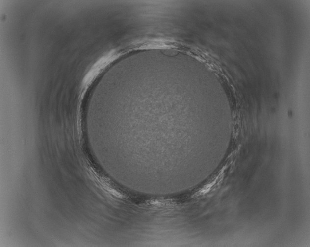 X0000069790296200605221121