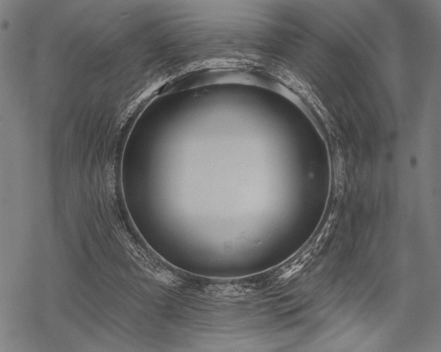 X0000069790297200605221121