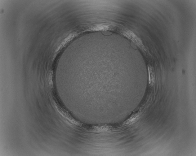 X0000069790300200605221121