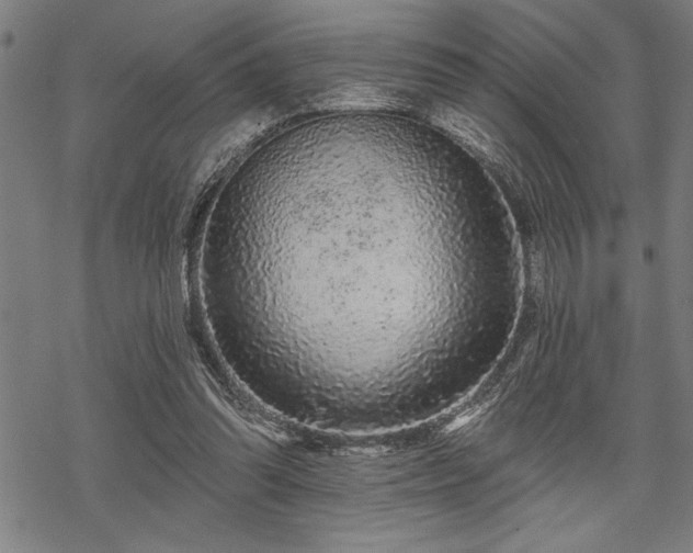 X0000069790302200605221121