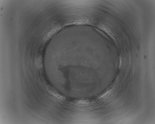 X0000069790303200605221121