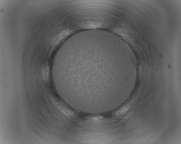 X0000069790304200605221121