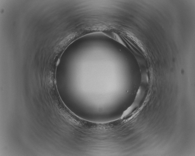 X0000069790305200605221121